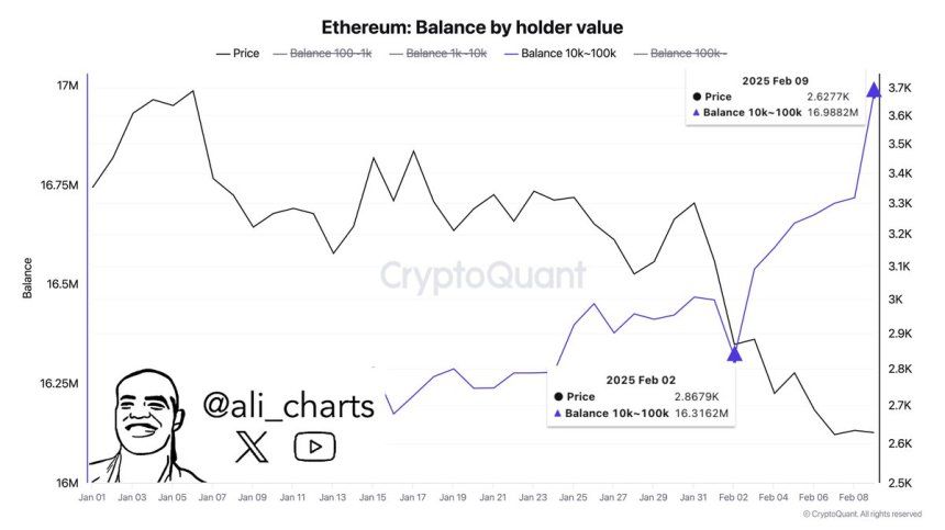 Ethereum Whales Have Bought Over 600,000 ETH In The Past Week – Time For A Price Upswing? 1 Ethereum whales buy 600,000 ETH in a week | Source: Ali Martinez on X