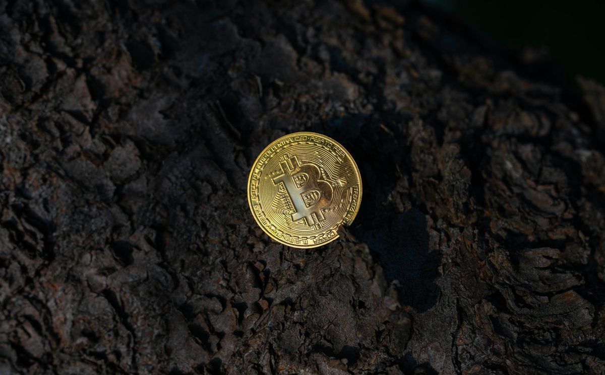Bitcoin Should Be Flying—Instead, Quantum Risk Keeps It Grounded: Analyst Bitcoin Should Be Flying—Instead, Quantum Risk Keeps It Grounded: Analyst