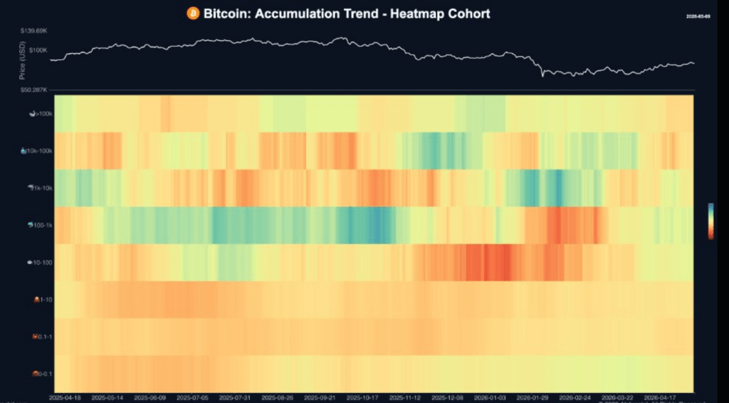 Nearly 80% Of Bitcoin Supply Hasn't Moved As Long-Term Holders Tighten Grip 1 6e881cca a 0342fc