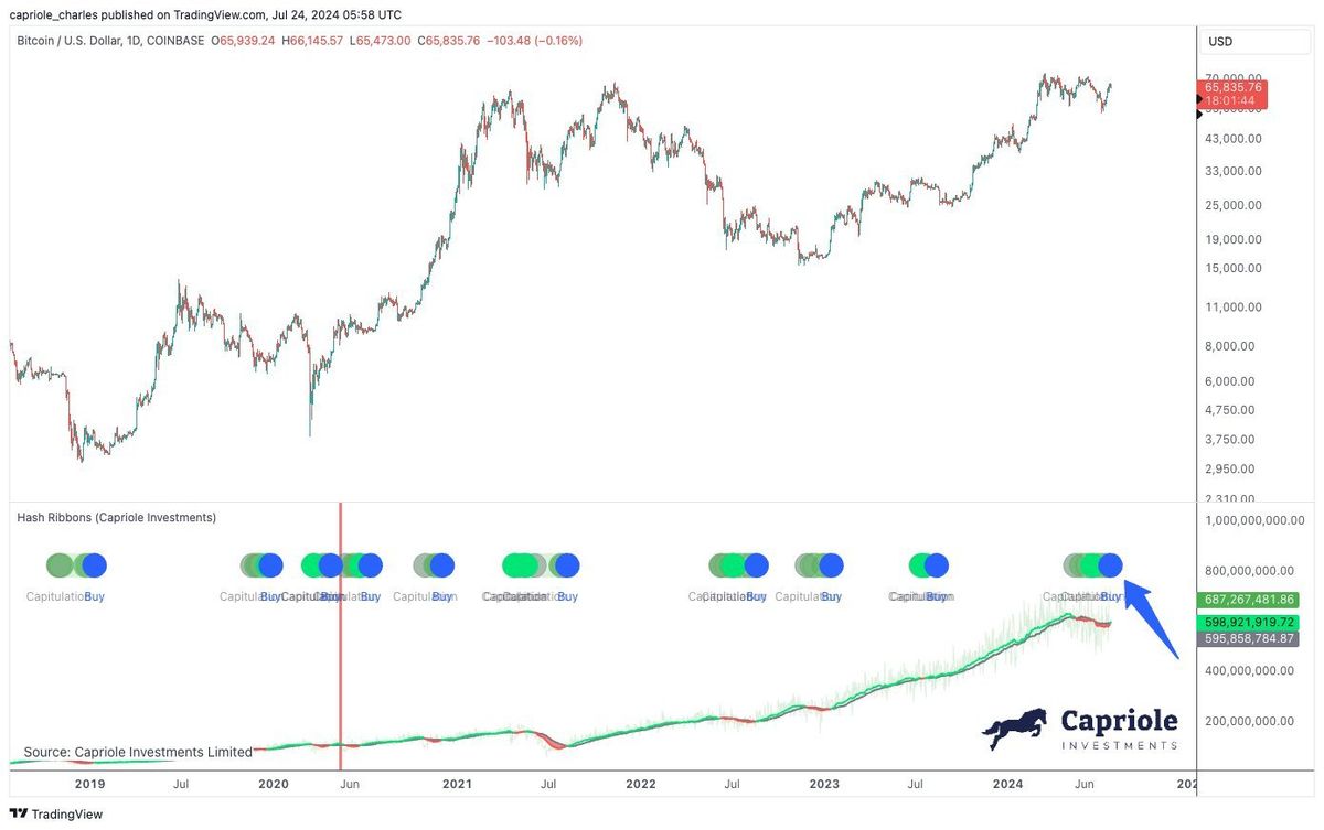 Bitcoin Shows Rare Buy Signal With 84% Win Rate, $80,000 Next? 1 Bitcoin Hash Ribbon buy signal