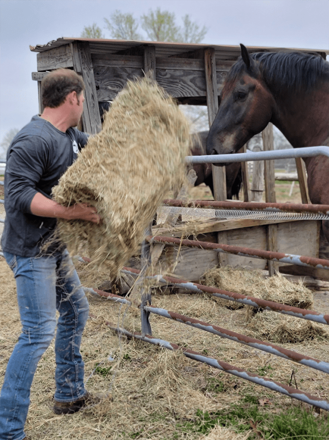 Bitcoin Ranch in Missouri 11 7944bff2 Screenshot 2025 09 10 at 20.01.24
