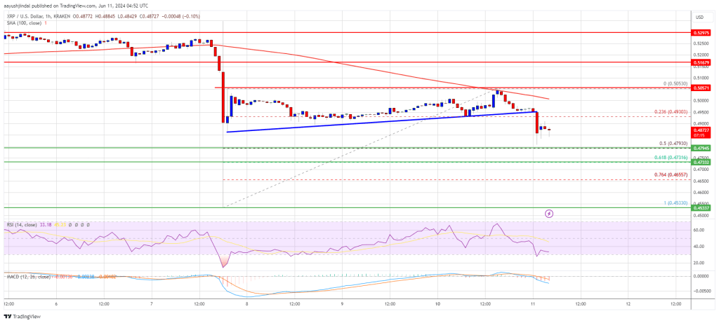Crypto Alert: XRP Price at Risk of Significant Downturn 1 XRP Price