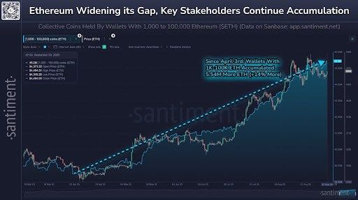 Ethereum Whales Go On Buying Spree Amid Crash To $4,200, Here’s How Much They Bought 1 Ethereum