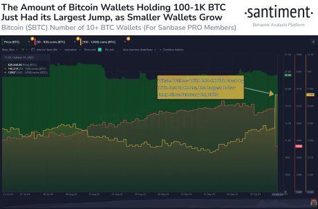 Bitcoin Whale Addresses See Unprecedented Jump, Is $30,000 Possible? 1 Bitcoin whales