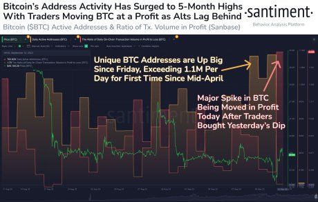 Bitcoin Wallet Activity Touches 5-Month High, Will BTC Price Follow? 1 Bitcoin addresses