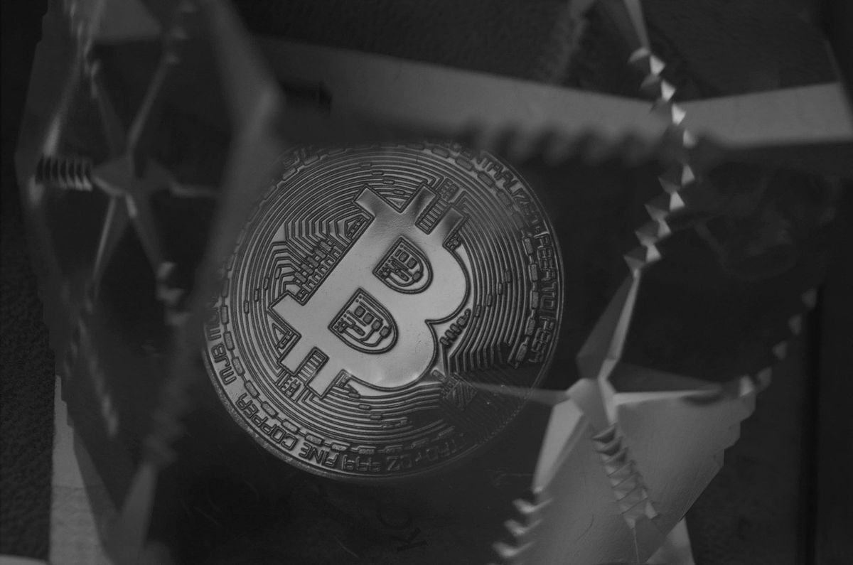 Bitcoin Bulls Eye Next Big Move As Price Nears 8,000, New ATH In Sight? Bitcoin Bulls Eye Next Big Move As Price Nears 8,000, New ATH In Sight?