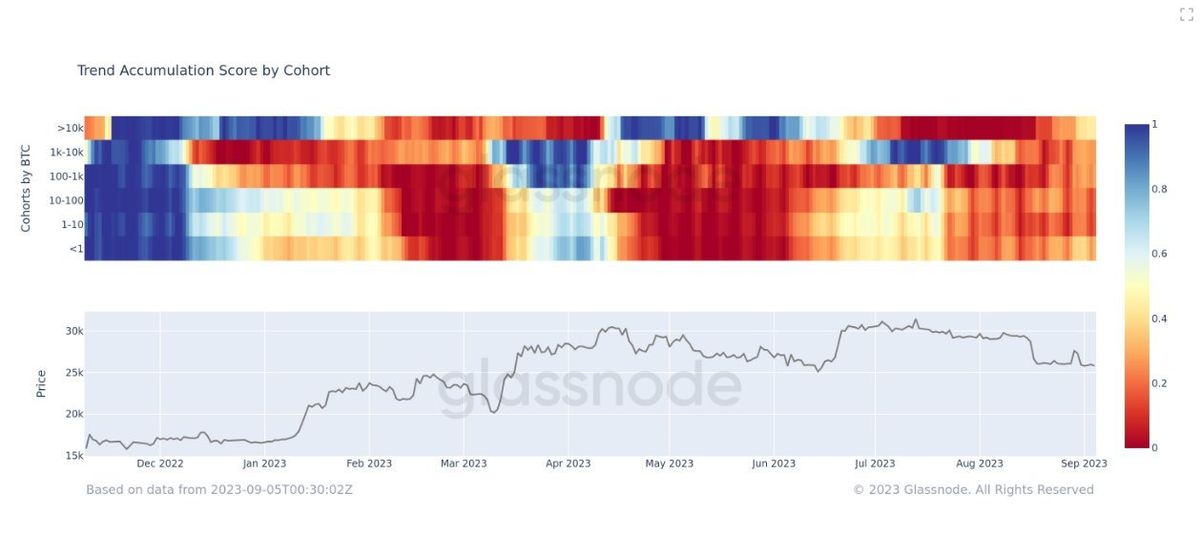 Whales Accumulate Bitcoin (BTC), But It's Not BlackRock 1 Bitcoin trend accumulation score by cohort