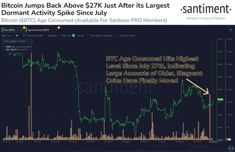 Bitcoin Whale Addresses See Unprecedented Jump, Is $30,000 Possible? 2 Bitcoin dormant activity