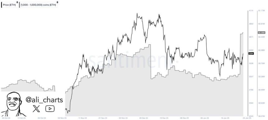 Ethereum Whales Keep Buying As Price Struggles – Expert Discloses Massive Accumulation 1 Ethereum whales buy 1.4M ETH in 48H | Source: Ali Martinez on X