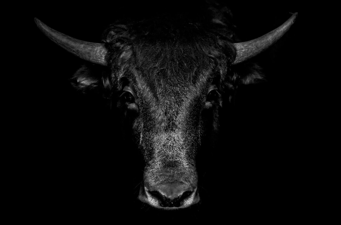 Bitcoin : Crypto Spot Trading Volumes Climb To 8-Month Highs