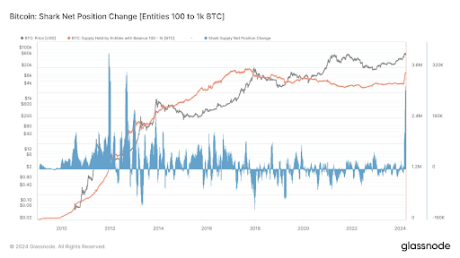 Prepping For $100,000: Bitcoin Shark And Whales Spend Over $18 Billion To Buy BTC 1 Bitcoin