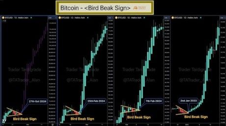 'Bird Beak Sign' Appears On Bitcoin Price Heikin Ashi Chart, Analyst Explain What This Means 1 Bitcoin price 1
