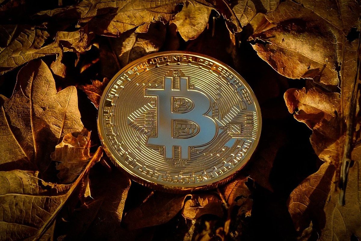 Elon Musk’s SpaceX Moves Bitcoin Holdings For The First Time In 3 Years, Here’s Where It Went