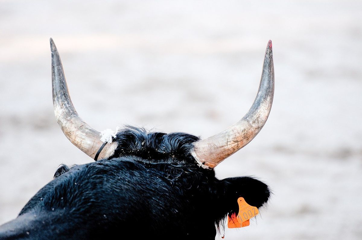 Ethereum Bulls Get Aggressive As Traders Set Sights on ,000 Ethereum Bulls Get Aggressive As Traders Set Sights on ,000