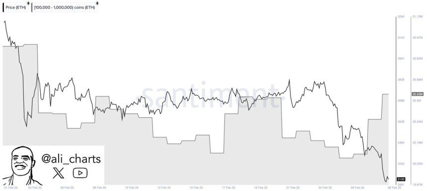 Whales Add 190,000 Ethereum In The Last 24 Hours – The Accumulation Continues 1 Ethereum Whales Bought 190,000 ETH in 24H | Source: Ali Martinez on X