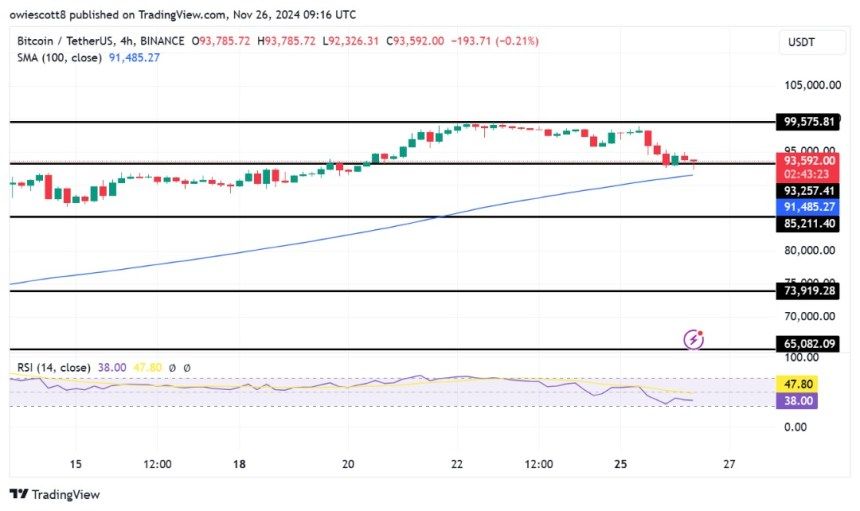 Bitcoin Holds At $93,257 As Bulls Struggle To Avoid Deeper Losses 1 Bitcoin