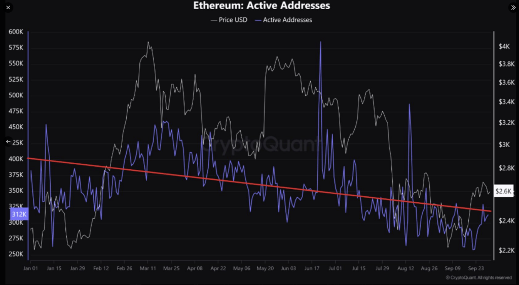 Bitcoin And Ethereum Addresses Shrink In 2024 1 d590e231 A d84a28