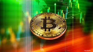 Bitcoin Whales Enter Full Accumulation Mode: Here’s How Much BTC They Pulled From Exchanges