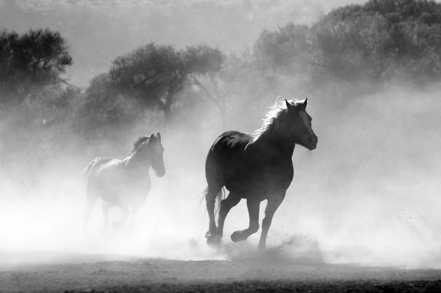 Hold Your Horses: Bitcoin Could Fall Back To Under ,000, These Analysts Say