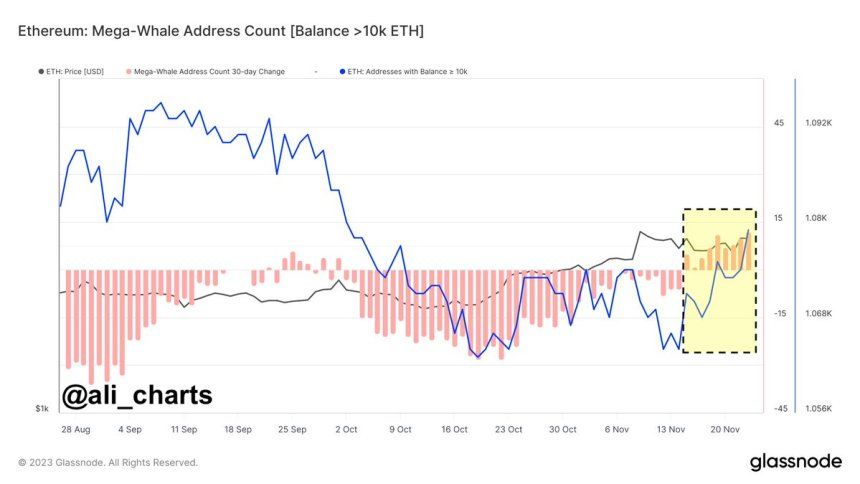 Ethereum Whales Go On 9-Day Accumulation Spree: ETH Price Rally Incoming? 1 Ethereum